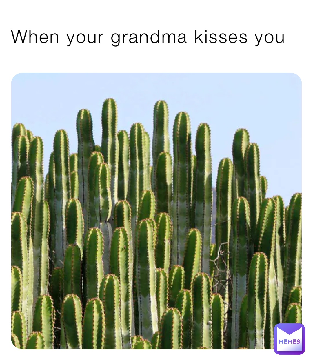 When your grandma kisses you