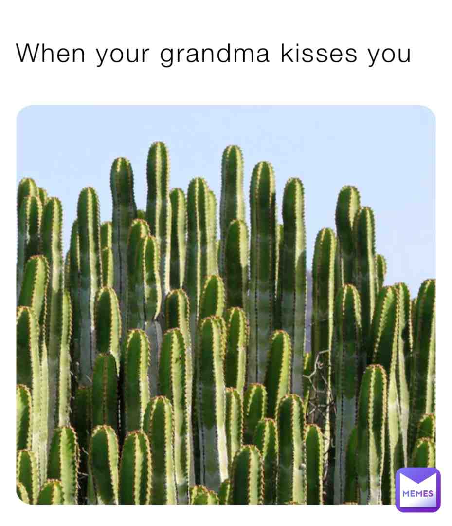 🌵 #grandma #cactus #grandmamemes