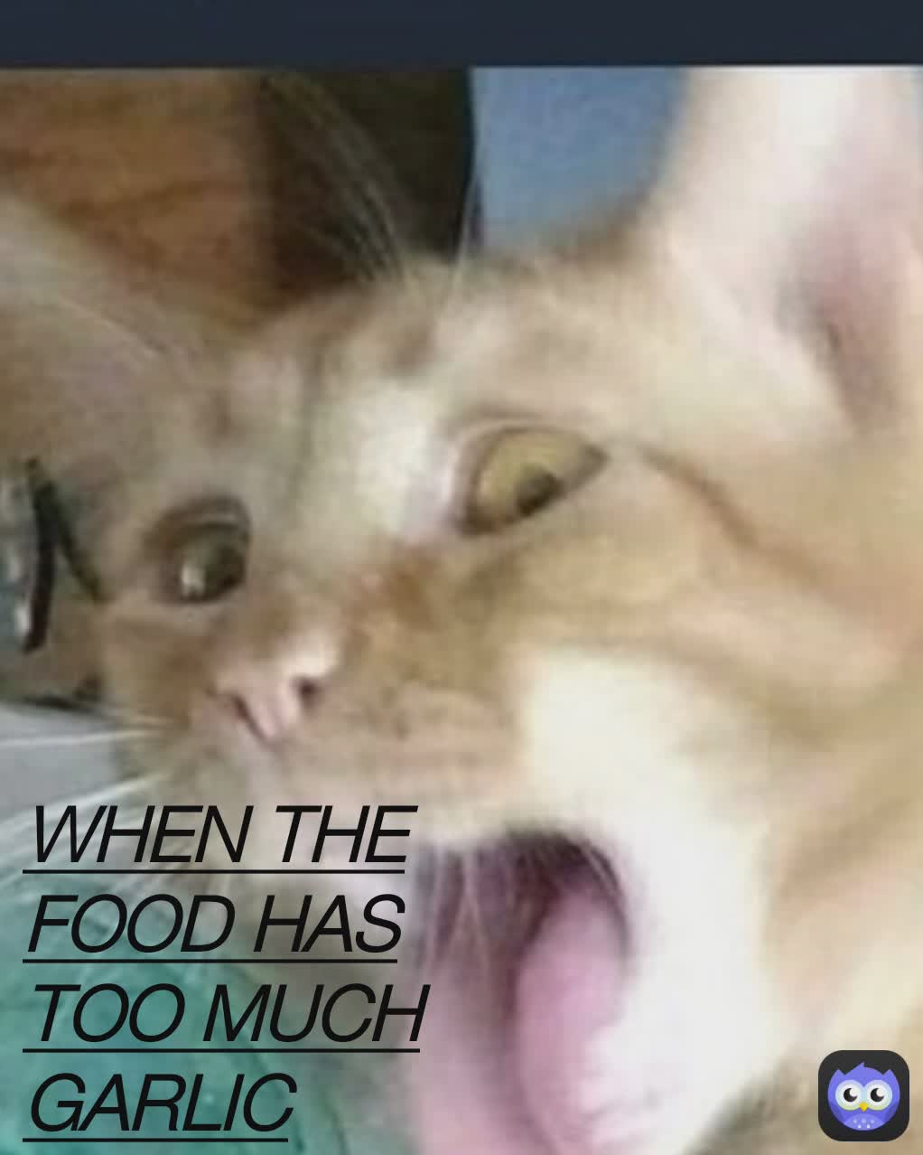 Type Text WHEN THE FOOD HAS TOO MUCH GARLIC