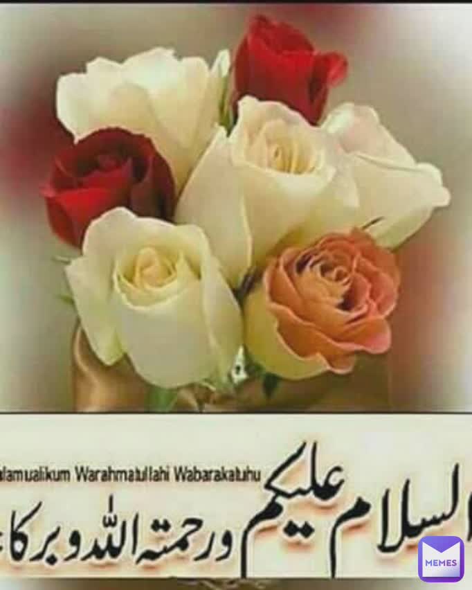 Meme by hassanali2299900