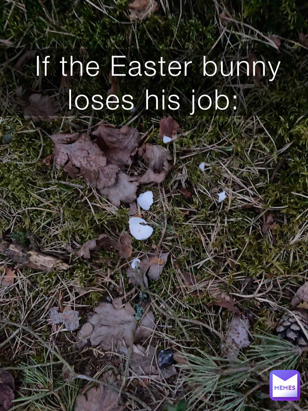 If the Easter bunny loses his job: