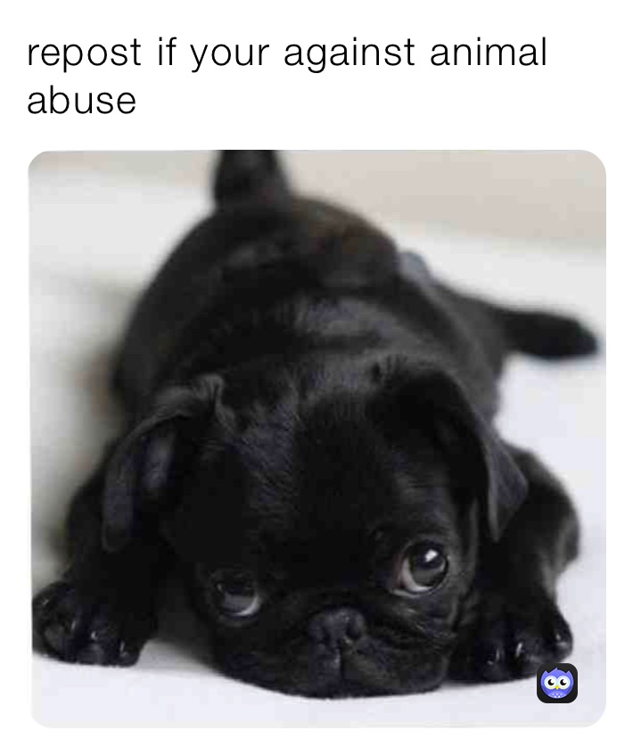 repost if your against animal abuse 