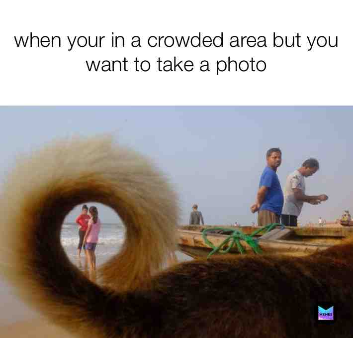 Meme shared by @squish611