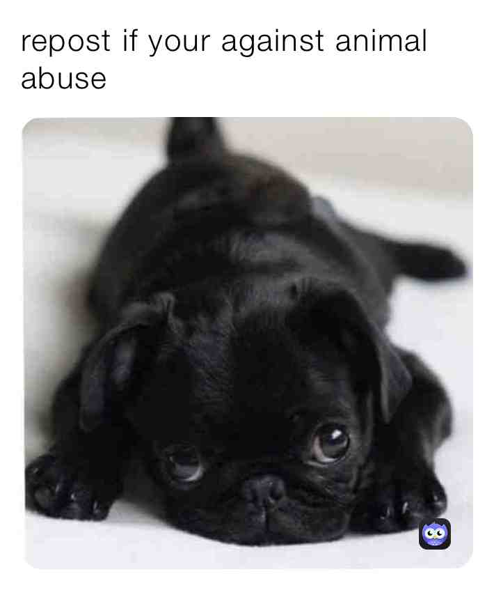 Meme shared by @squish611