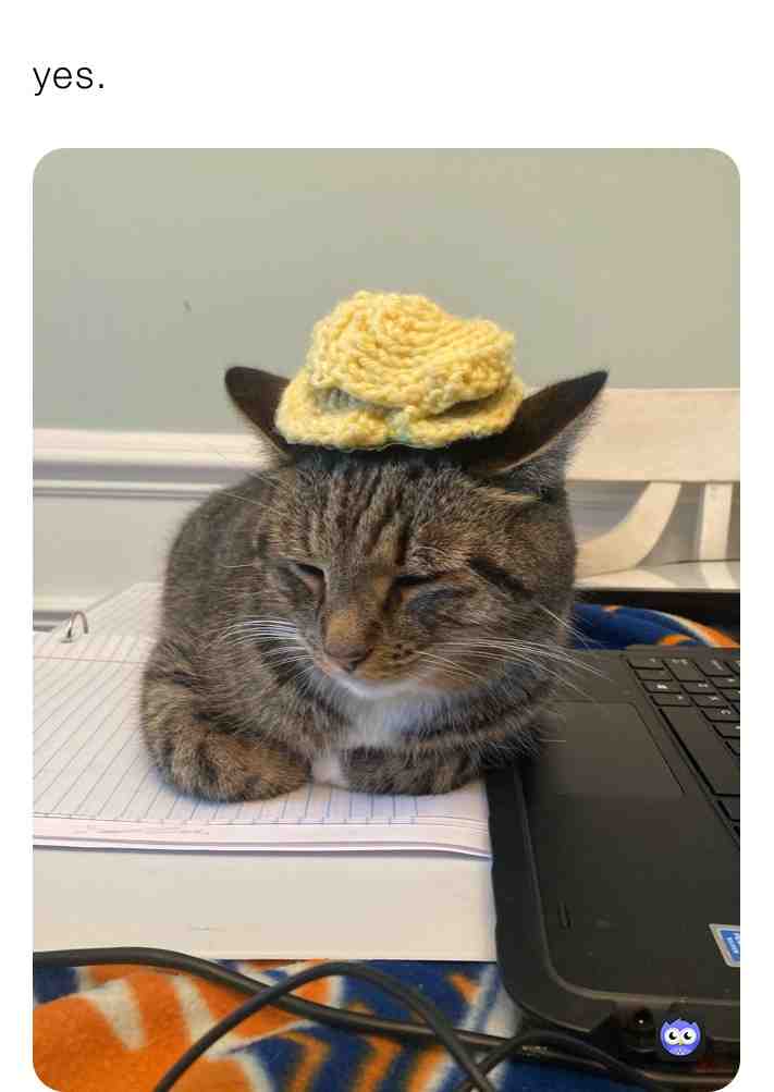 Meme shared by @squish611