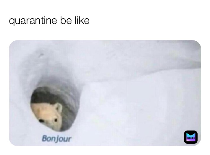 Meme by snickerdoodle_115