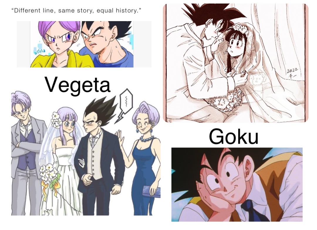 Different line, same story, equal history.” Vegeta Goku | @jp_osei | Memes
