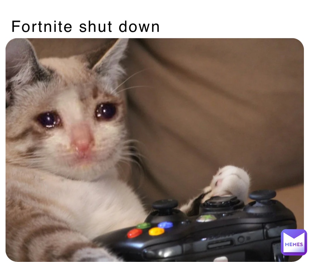 Fortnite shut down Fortnite shut down