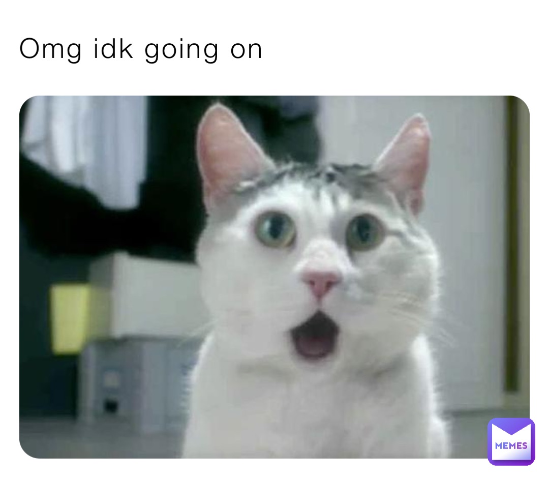 Omg idk going on
