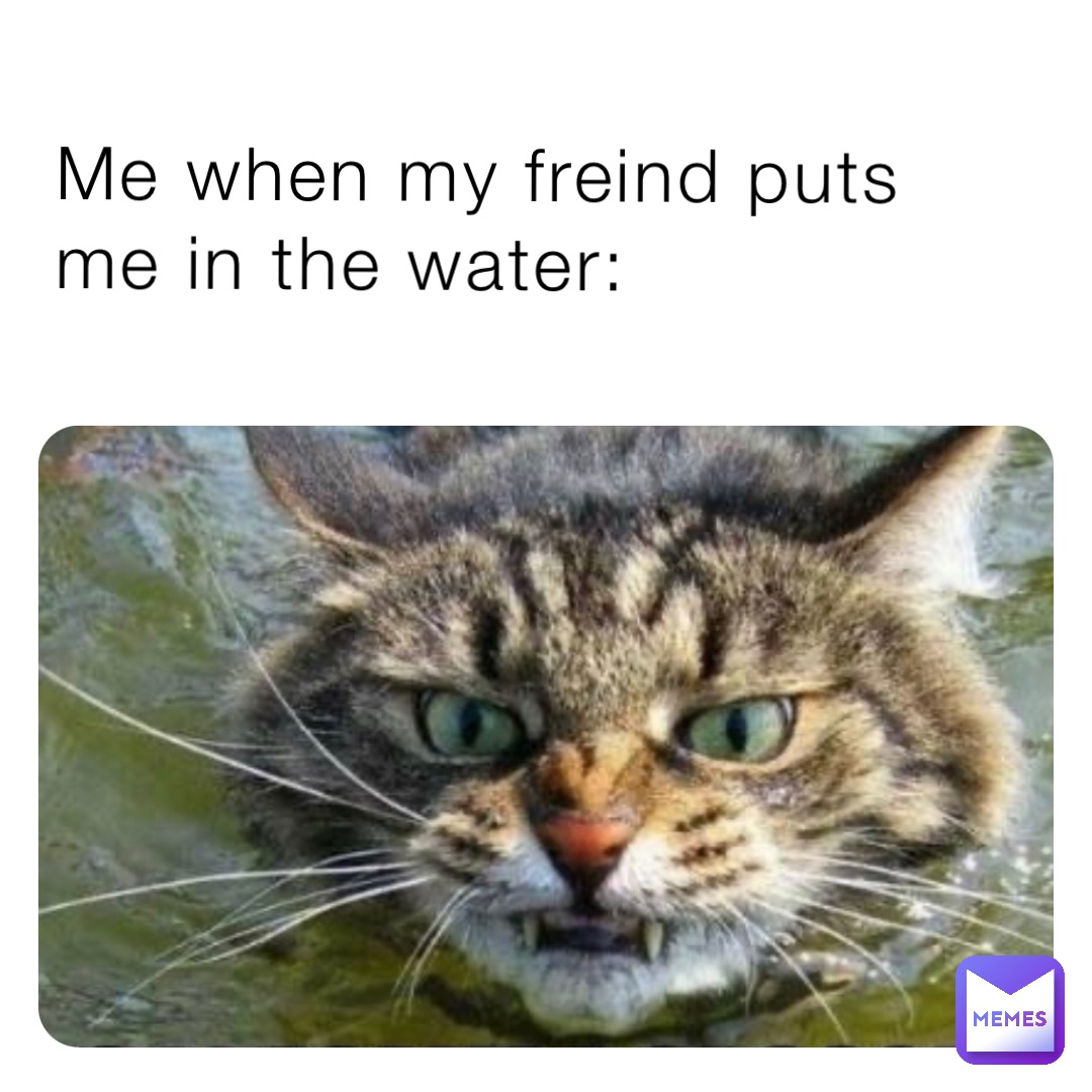 Me when my freind puts me in the water: