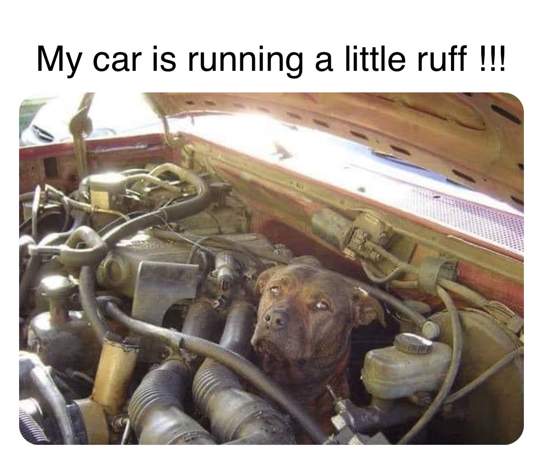 Double tap to edit My car is running a little ruff !!!