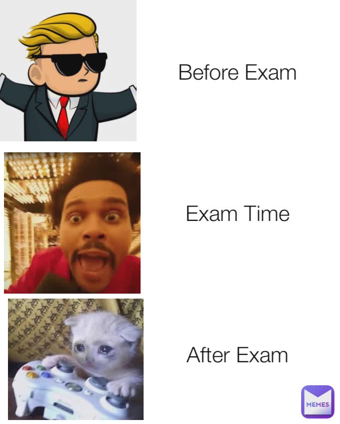 after exam memes