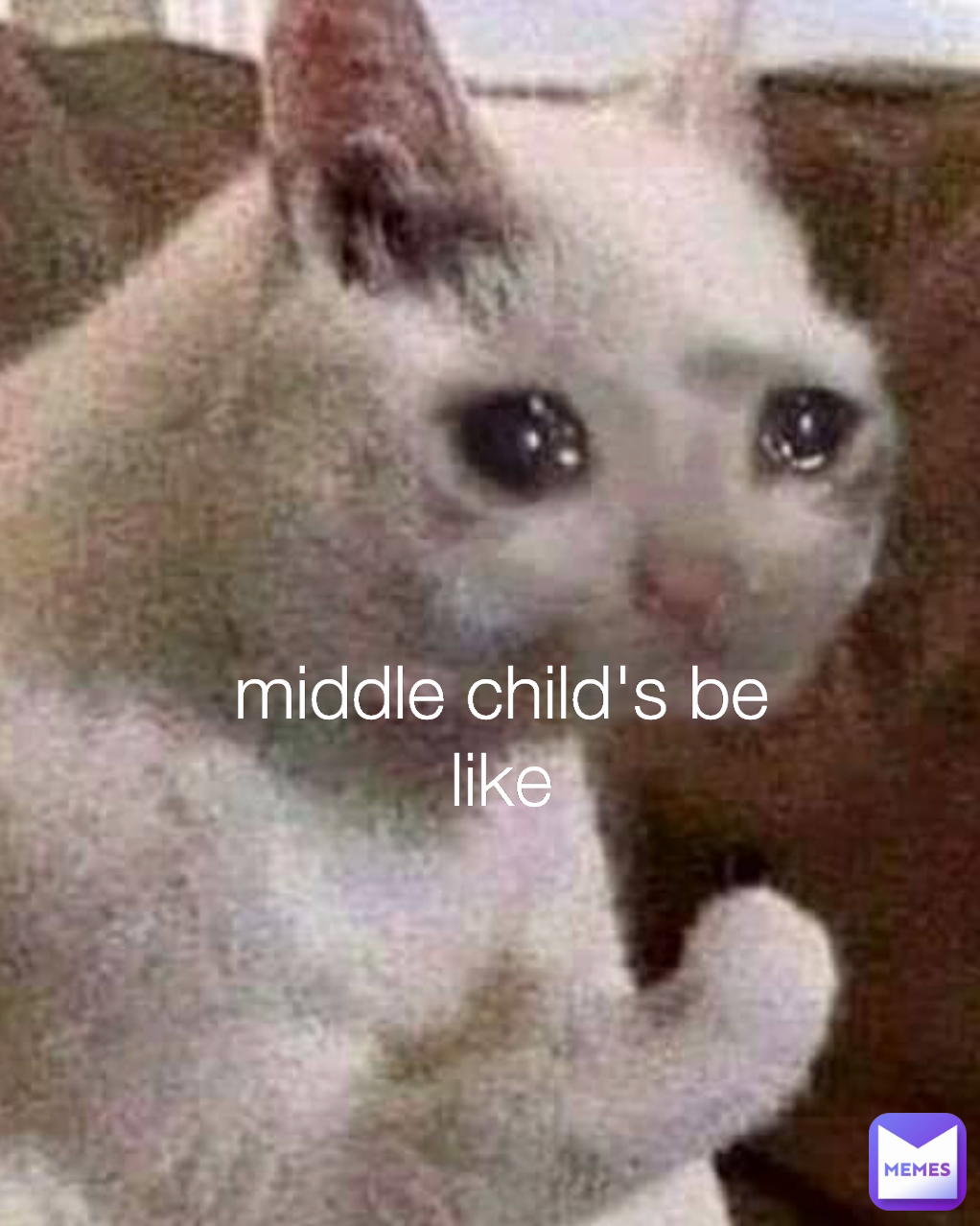 middle child's be like

