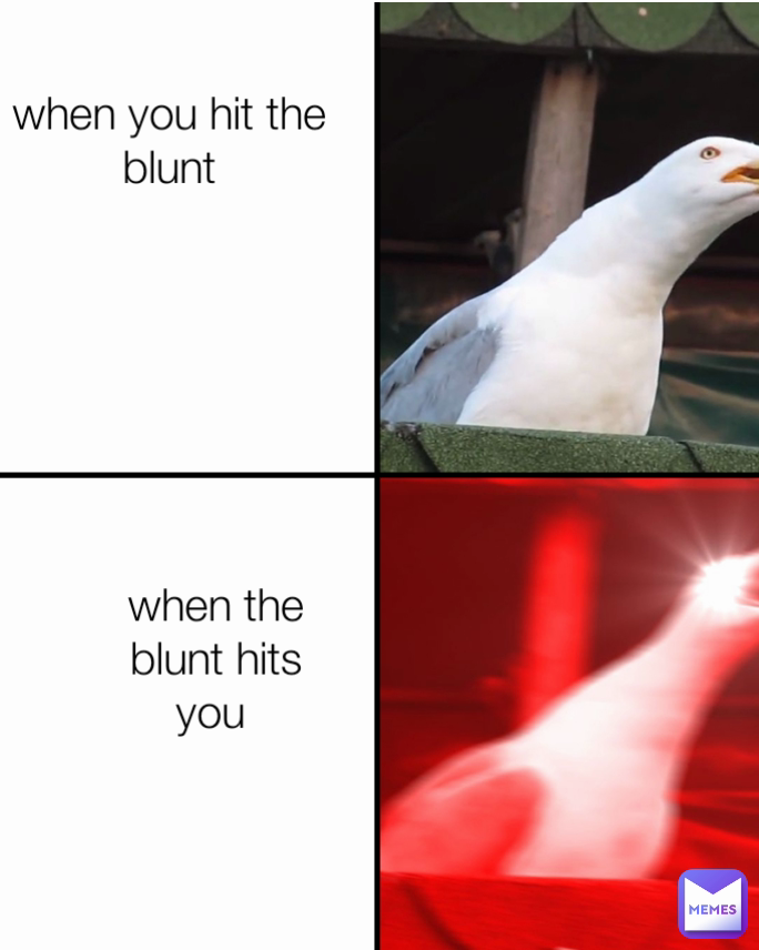 when you hit the blunt
 when the blunt hits you 