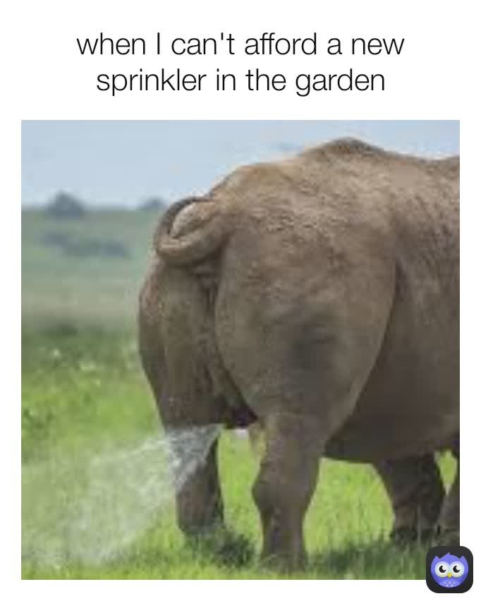 when I can't afford a new sprinkler in the garden