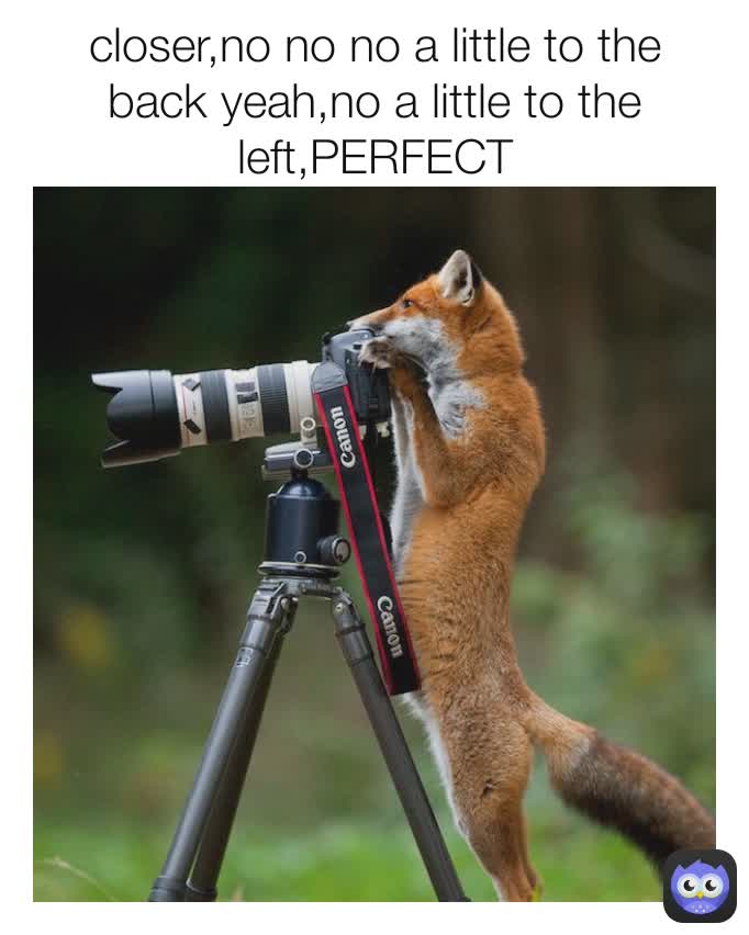 closer,no no no a little to the back yeah,no a little to the left,PERFECT