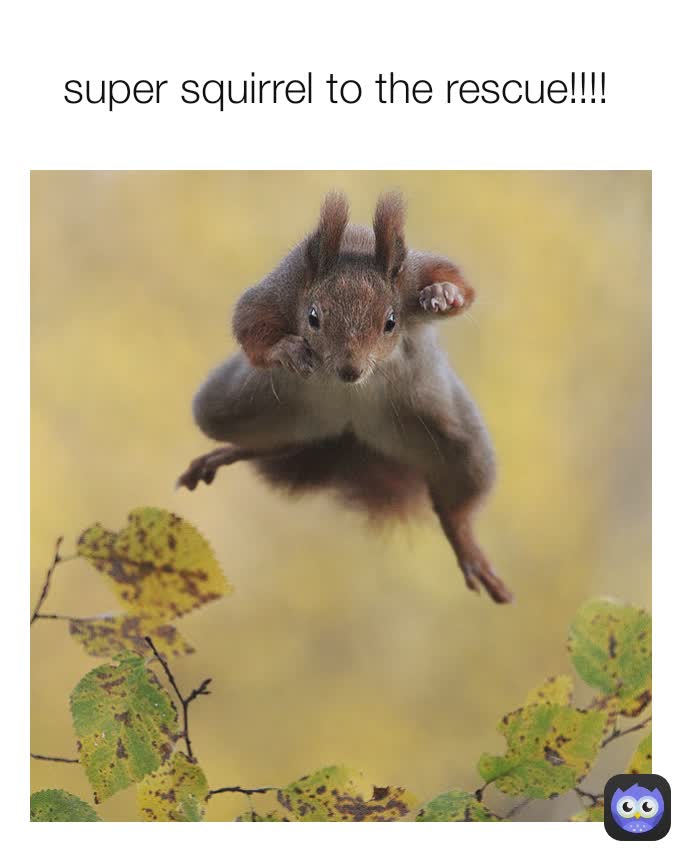 super squirrel to the rescue!!!!