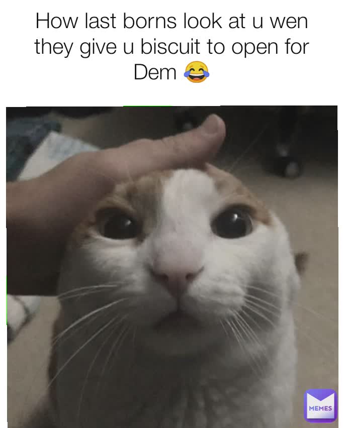 Meme by Laugwella.12