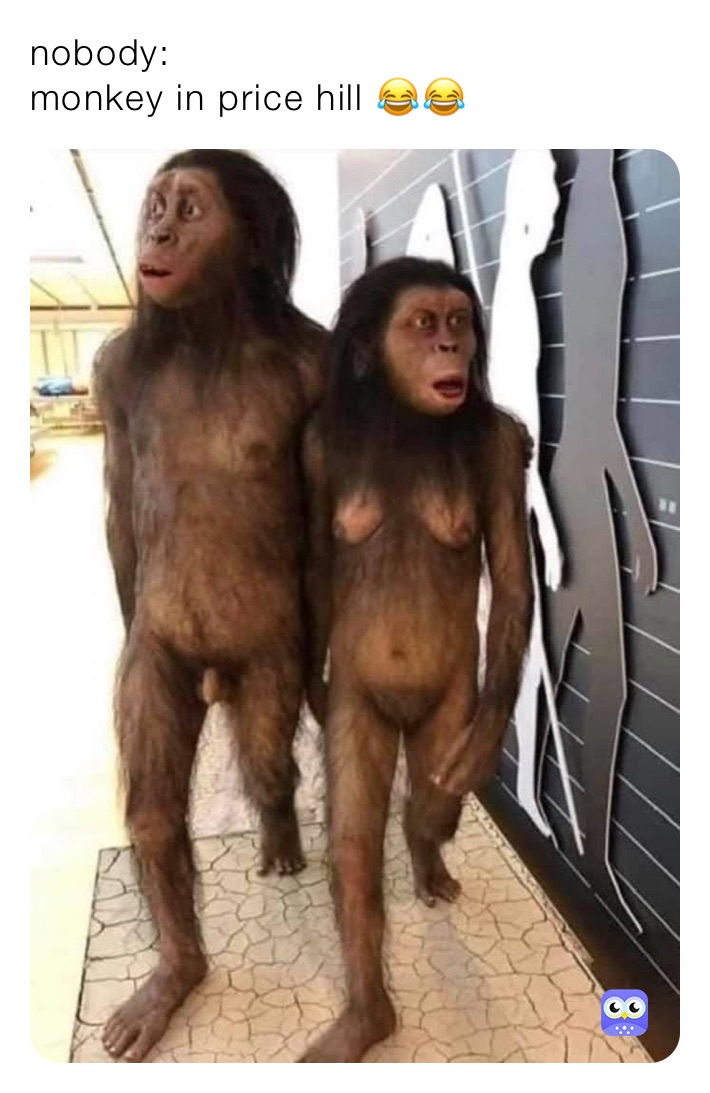 nobody:
monkey in price hill 😂😂