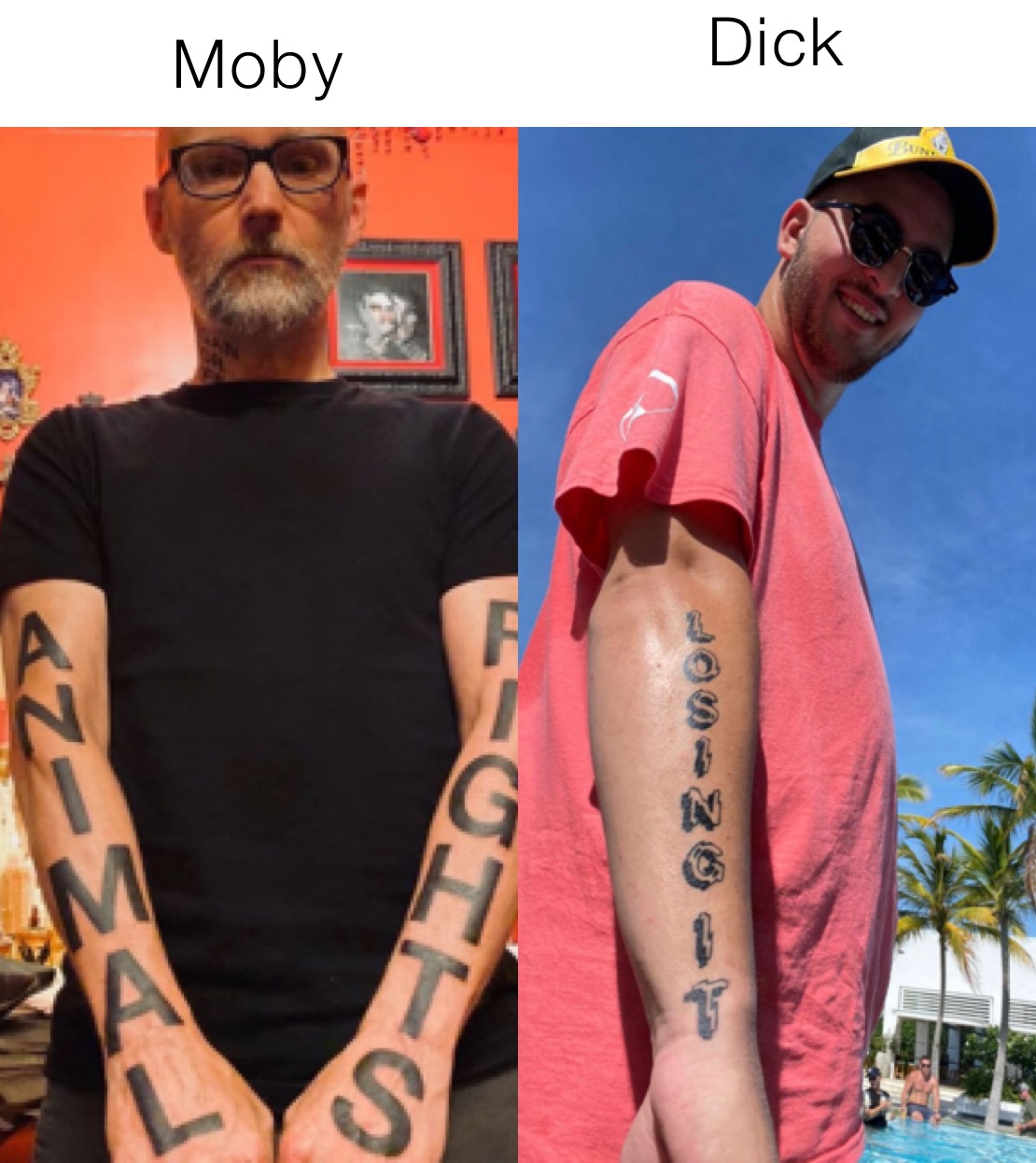 Moby Dick 


