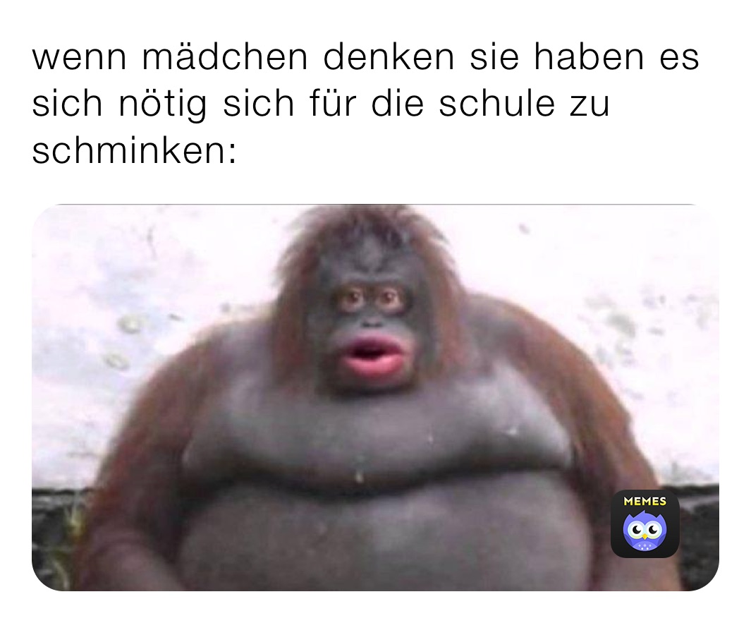 Meme by tobias.thaller