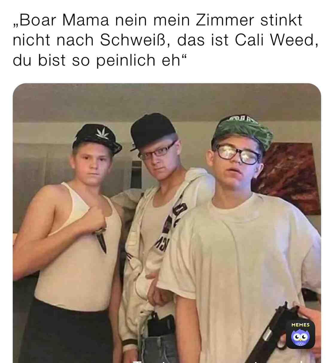 #deutschememes #deutsch #german #weed #marijuana #cringe #gangster