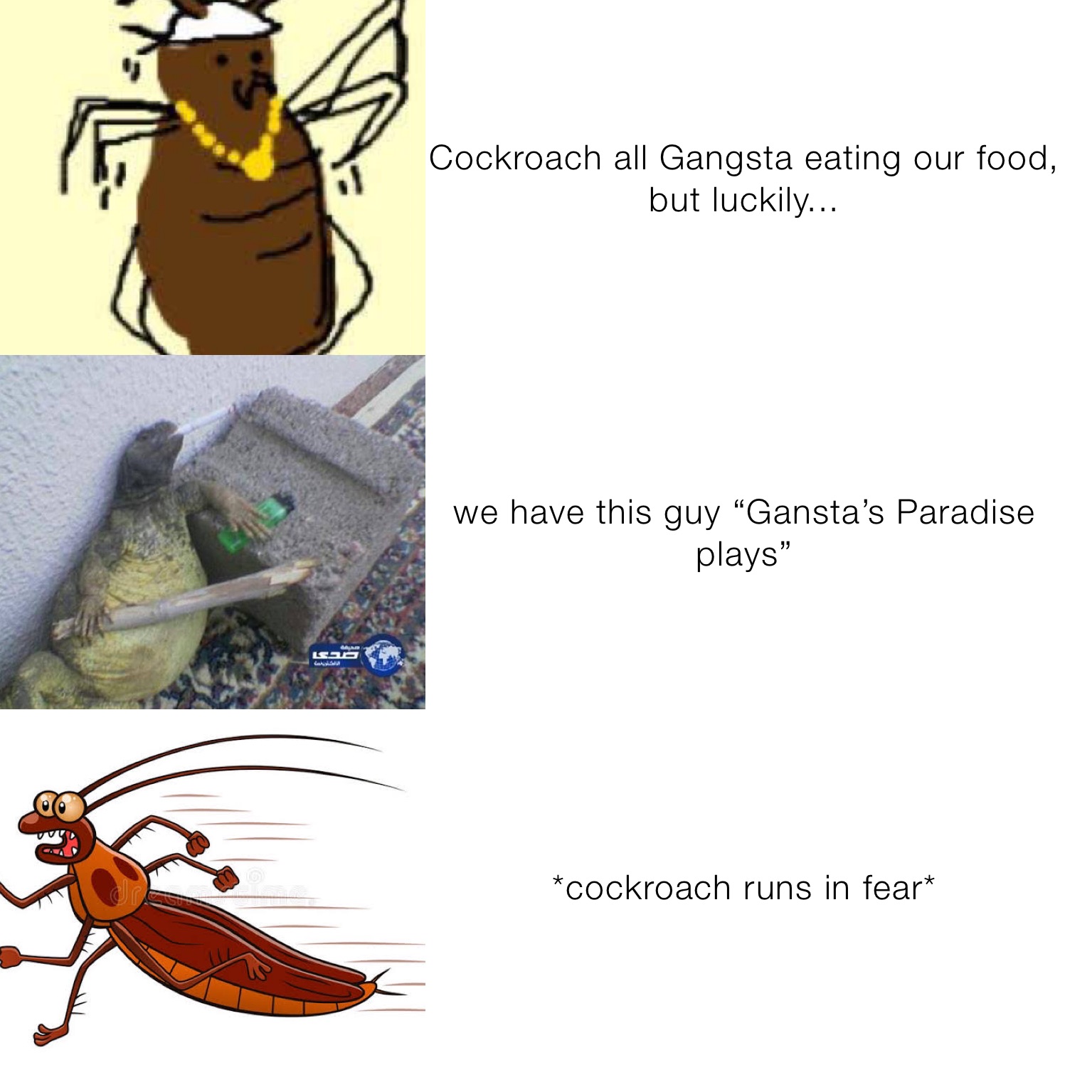 Cockroach all Gangsta eating our food, but luckily... we have this guy “Gansta’s Paradise plays” *cockroach runs in fear*