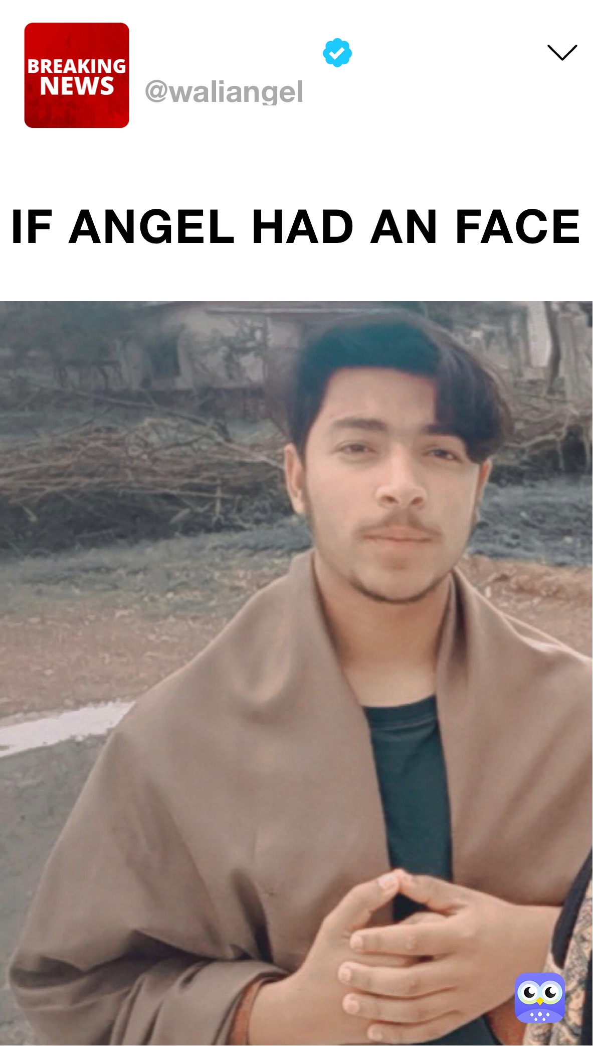 IF ANGEL HAD AN FACE