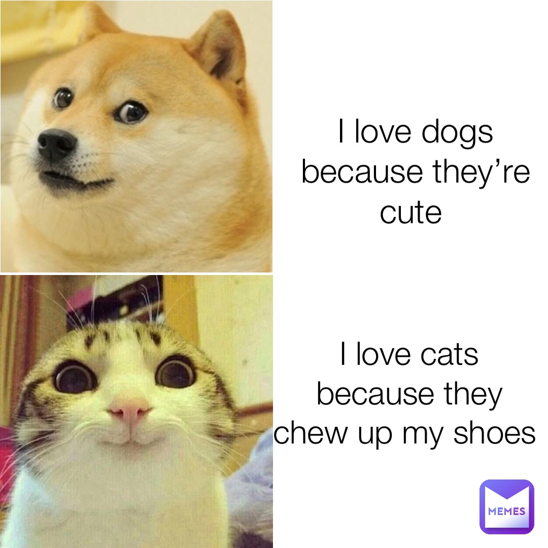 I love dogs because they’re cute I love cats because they chew up my shoes