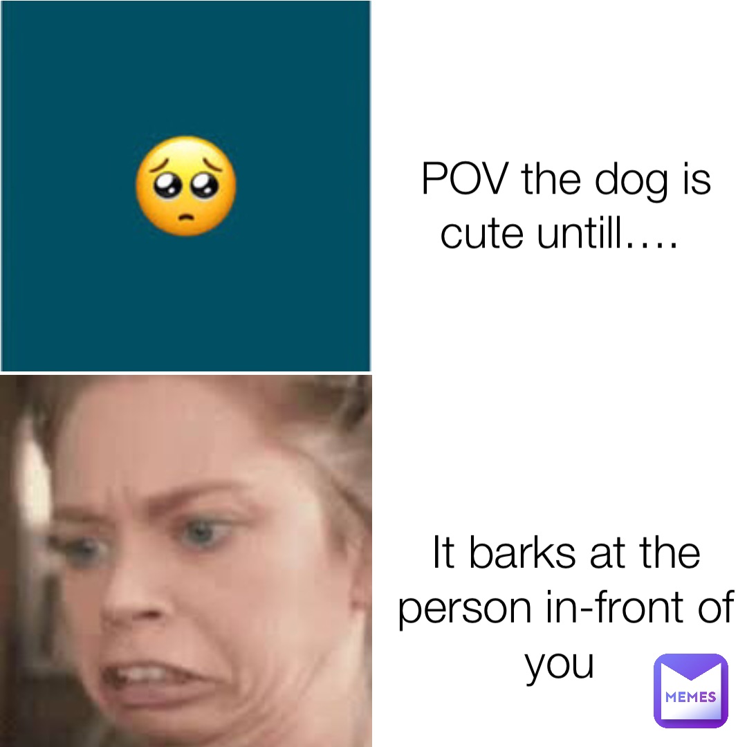 POV the dog is cute untill…. It barks at the person in-front of you