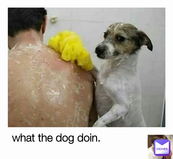 Meme by jamshatesnakeu