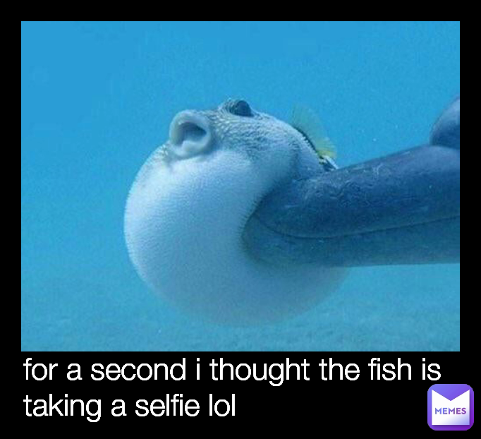 for a second i thought the fish is taking a selfie lol