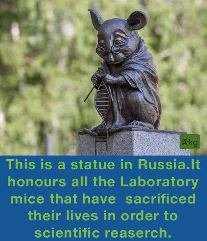 This is a statue in Russia.It honours all the Laboratory mice that have  sacrificed their lives in order to scientific reaserch.