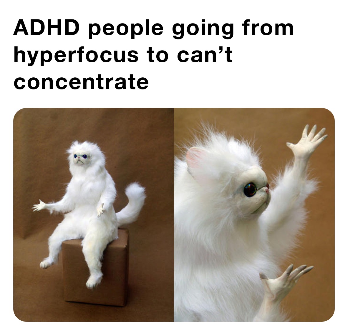 ADHD people going from hyperfocus to can’t concentrate 