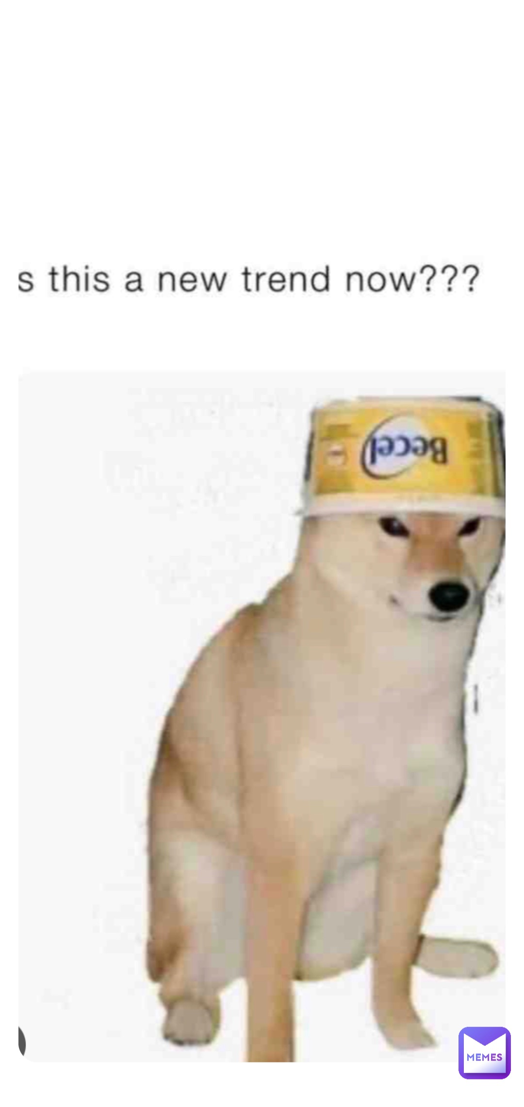 Dhsndb