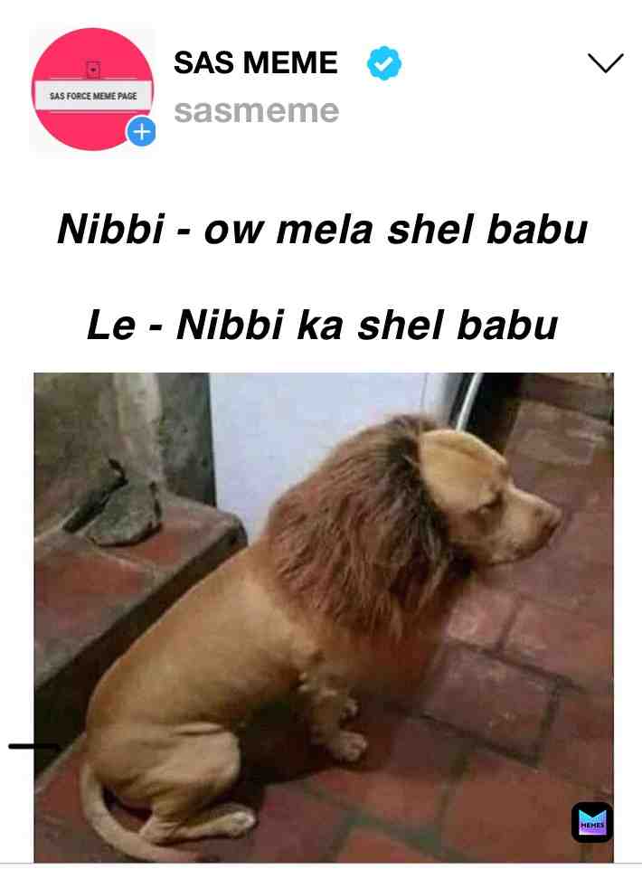 #amongusmemes #nibba Amongusfunny #amongus #nibbanibbi