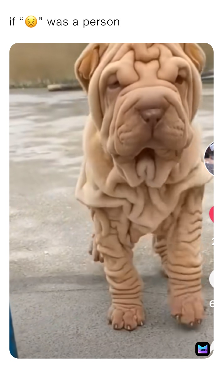 Meme by officiallyharm14