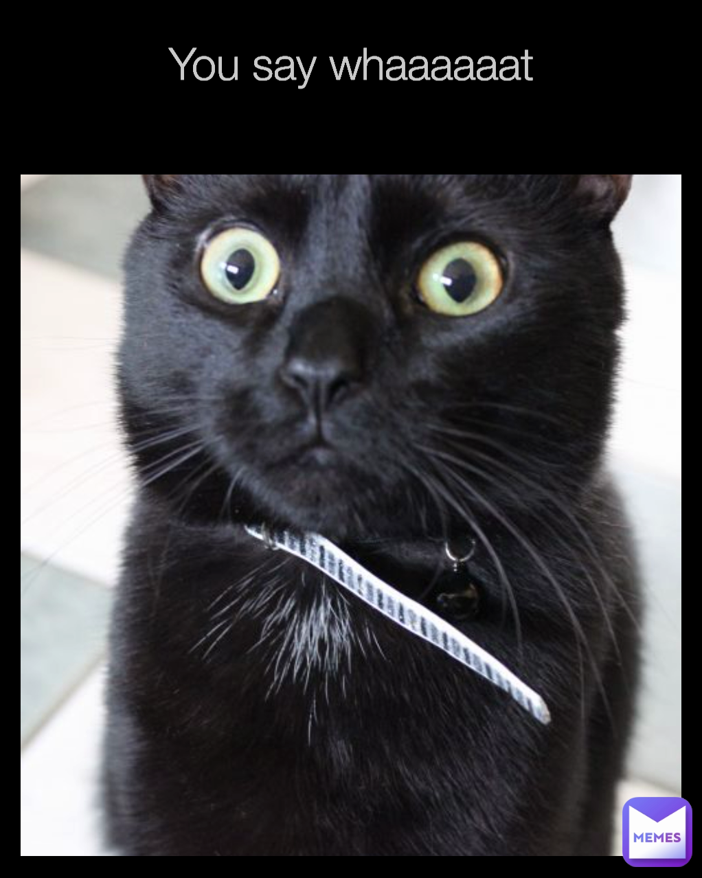 You say whaaaaaat
