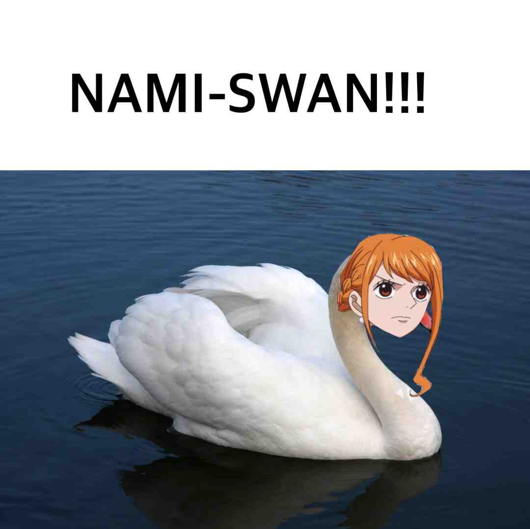 #nami #onepiece #funny #op #onepieceanime