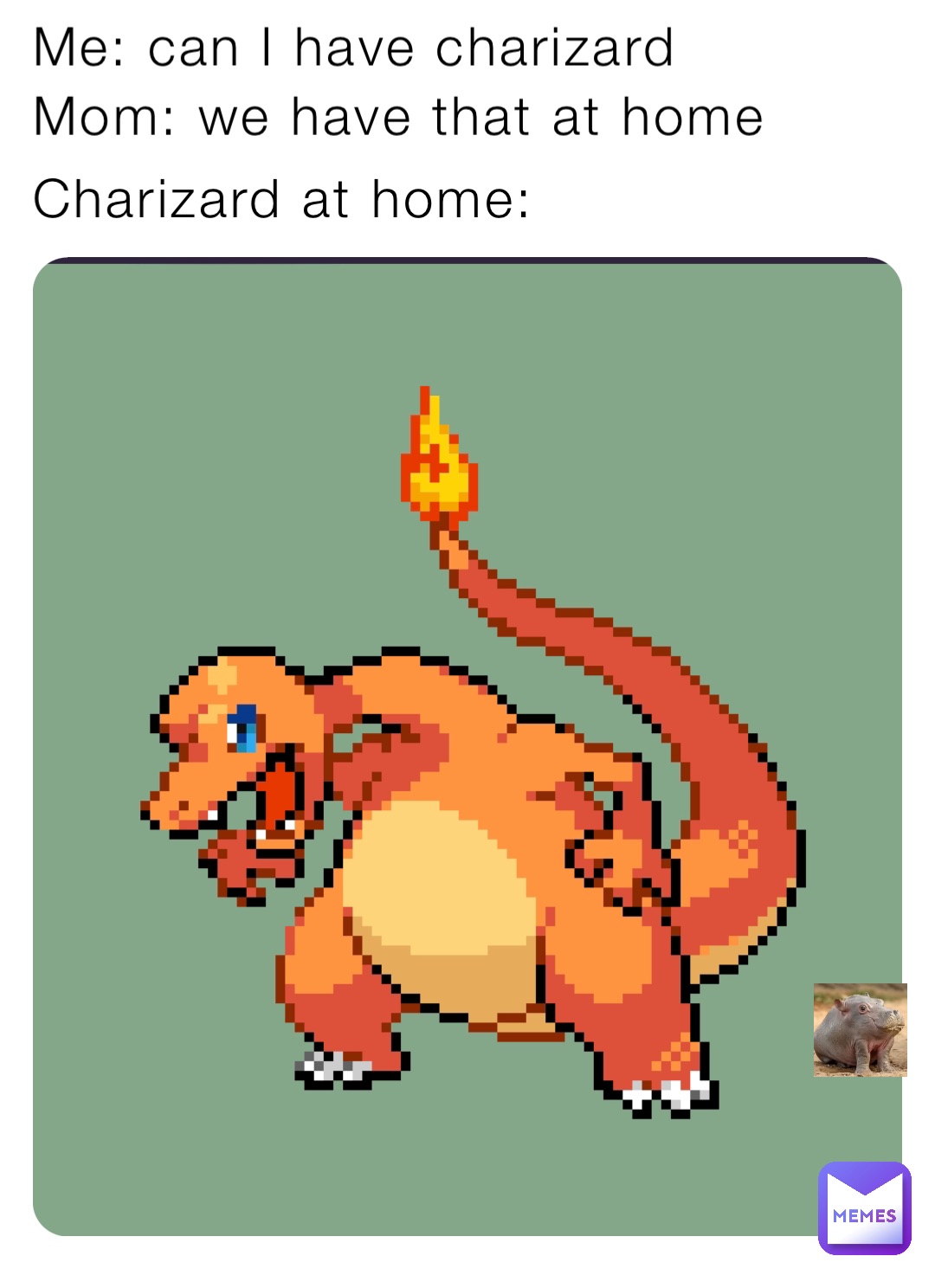 Me: can I have charizard Mom: we have that at home Charizard at home: