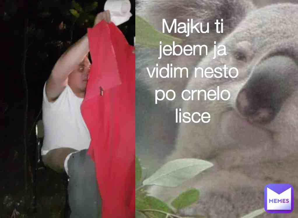 Meme shared by @nemanja1902