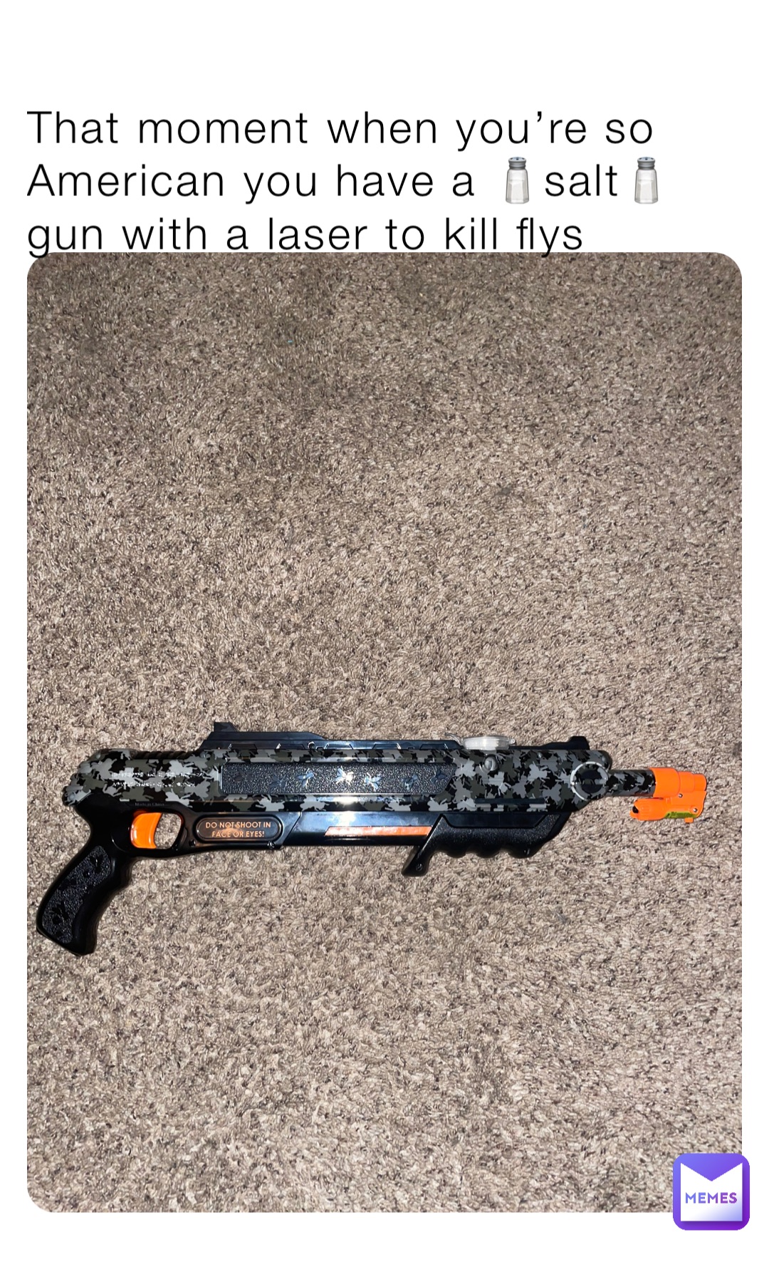 That moment when you’re so American you have a 🧂salt🧂 gun with a laser to kill flys