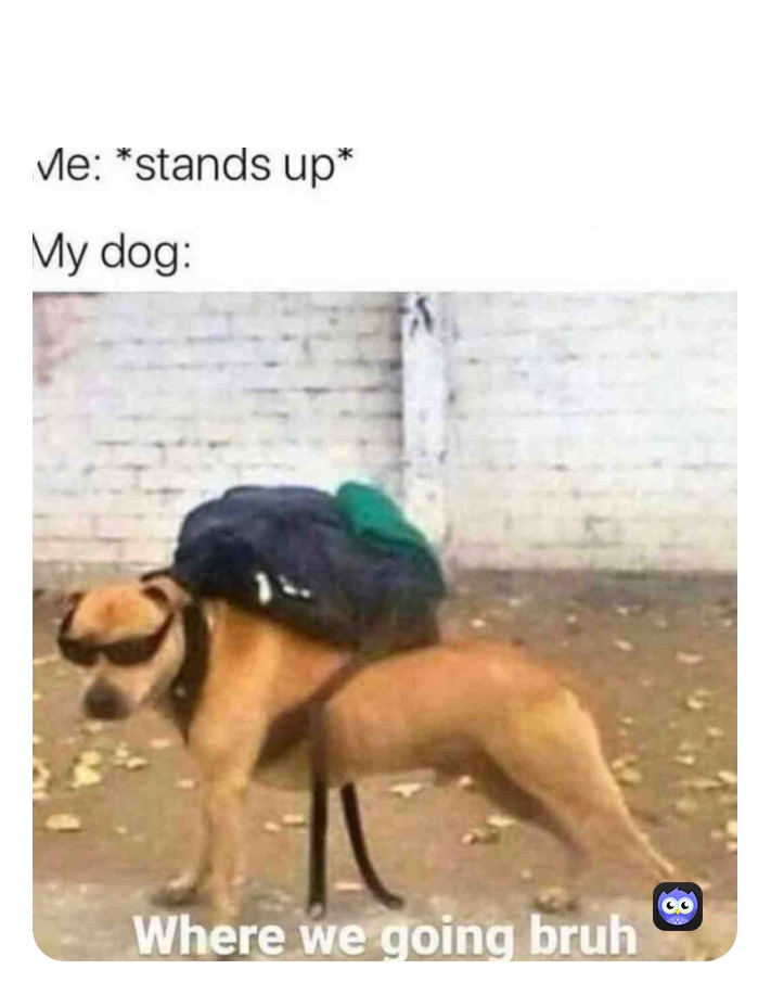 Meme by memes_are_neat