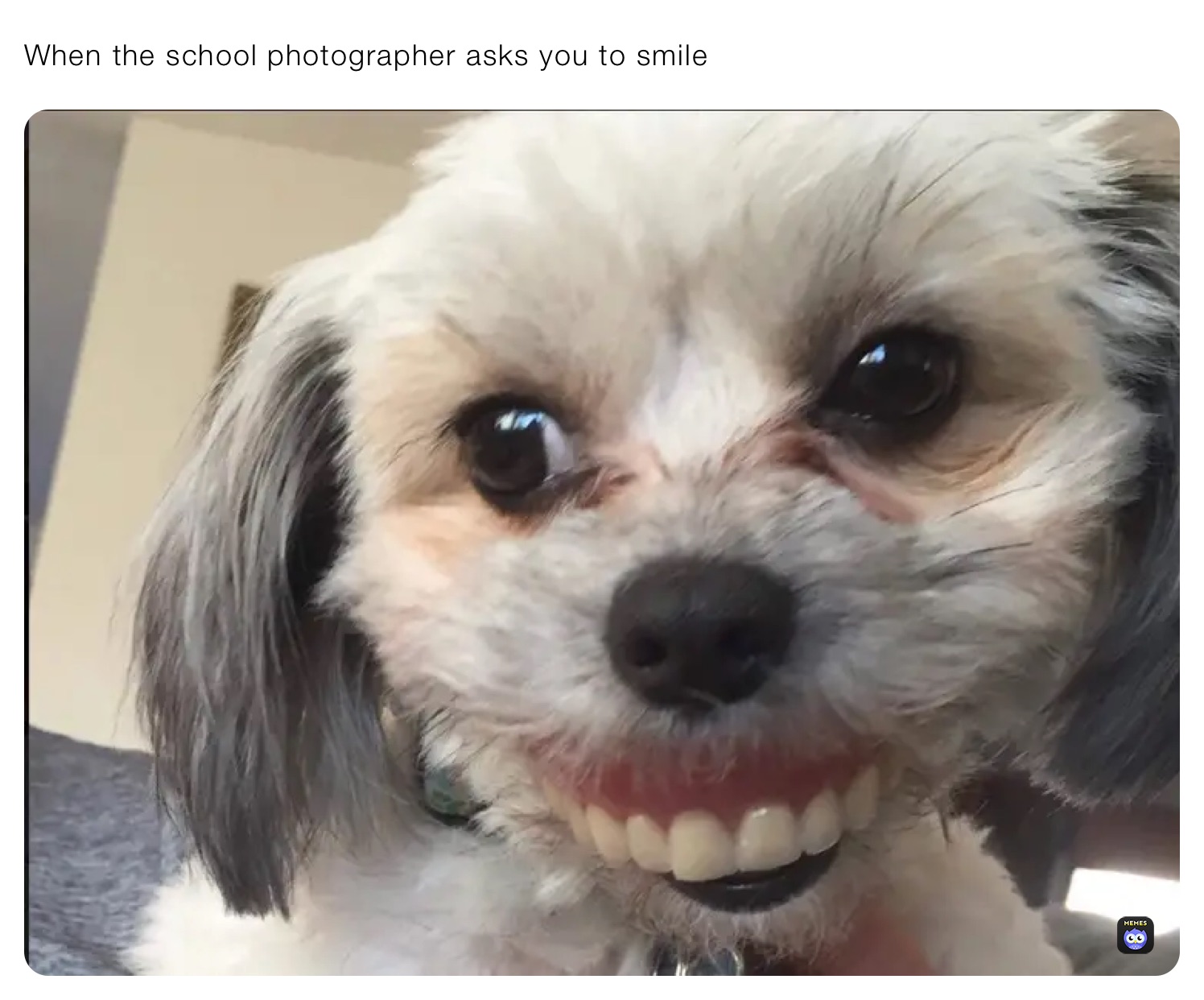 When the school photographer asks you to smile￼
