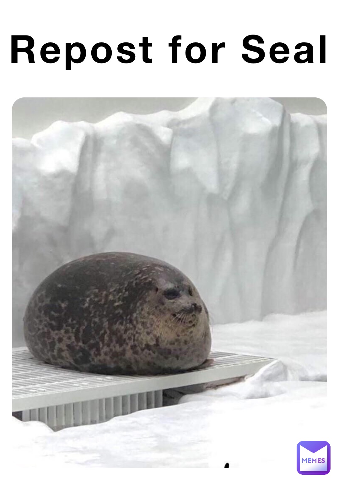 Repost for Seal