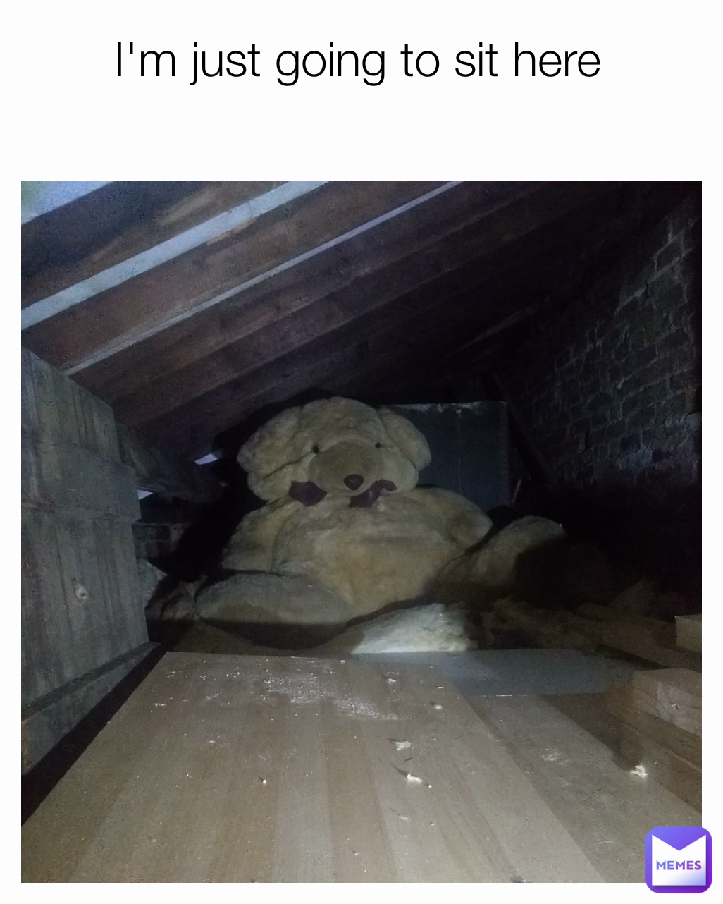 I'm just going to sit here 
