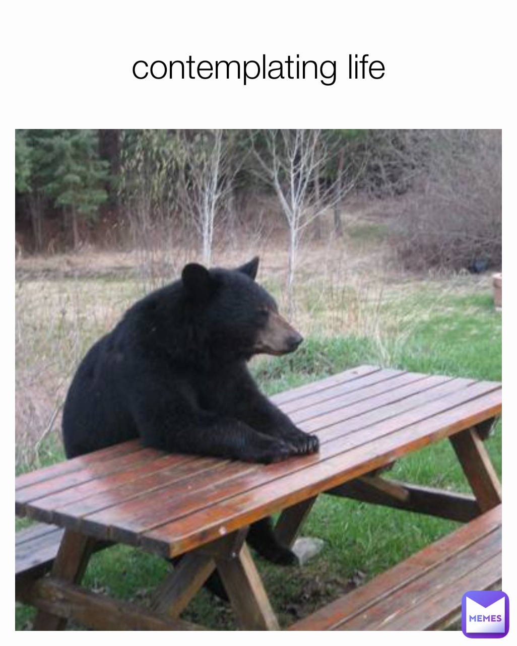 contemplating life
