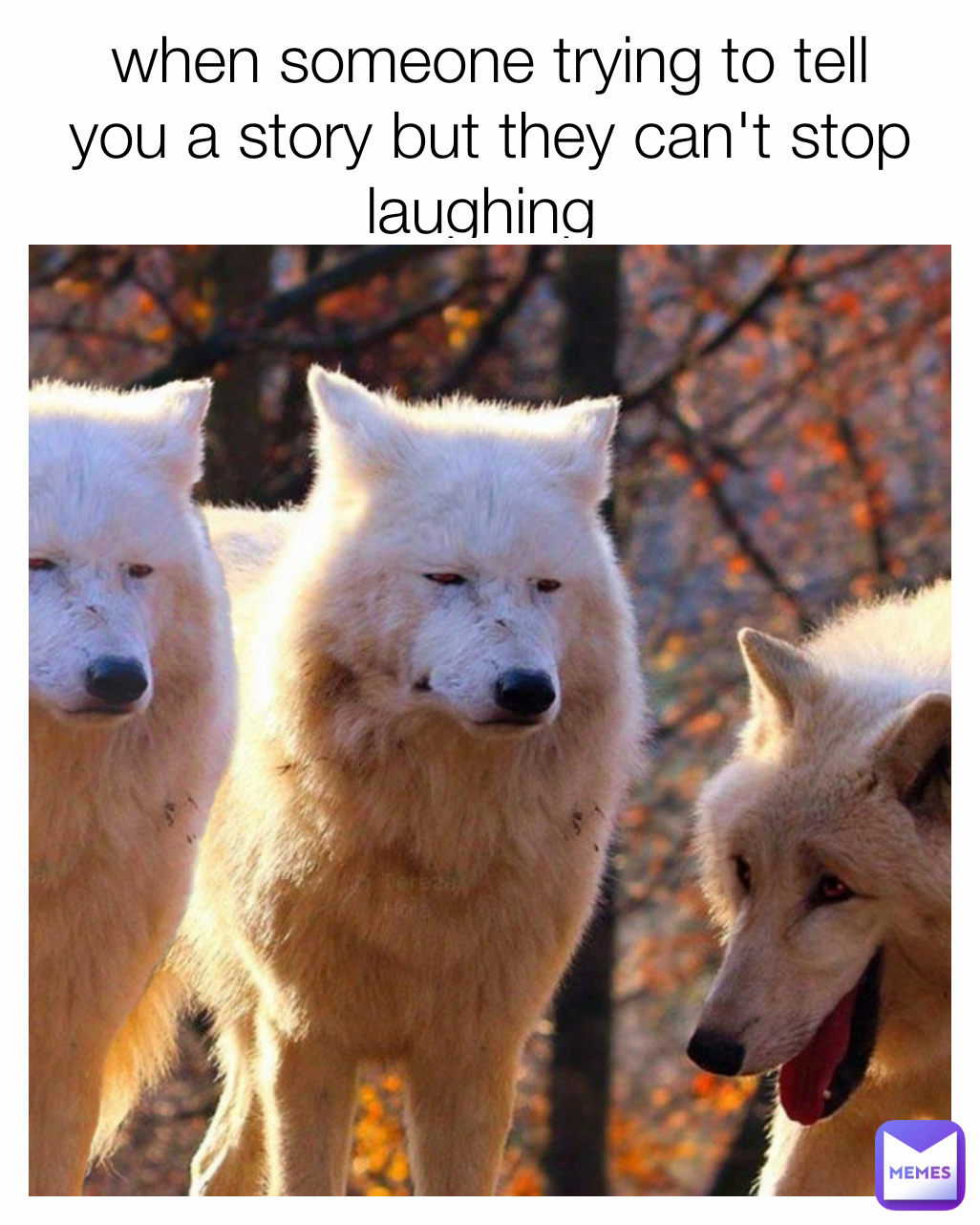 when someone trying to tell you a story but they can't stop laughing 