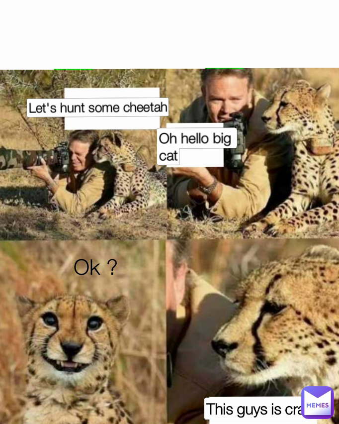 Let's hunt some cheetah This guys is crazy Oh hello big cat Ok ?