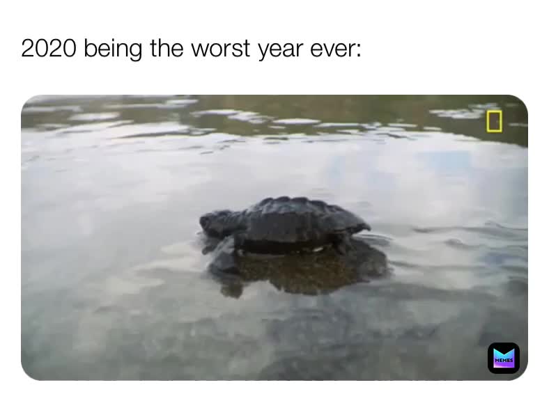 did I make you laugh? follow for more!  #2020 
 #2020memes  #relatablememes  #memes  #funnymemes  #relatable